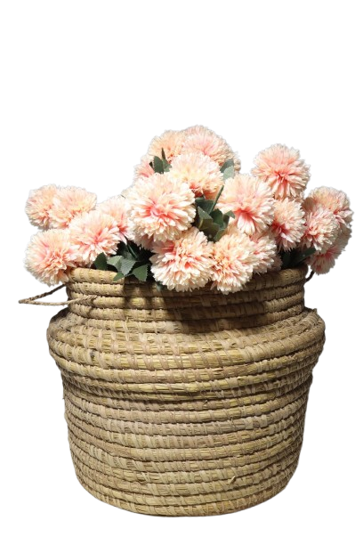 Basket Flower